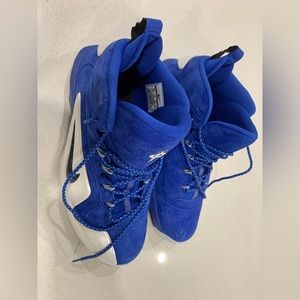 Nike Zoom Penny 6 Memphis Size 11 Blue